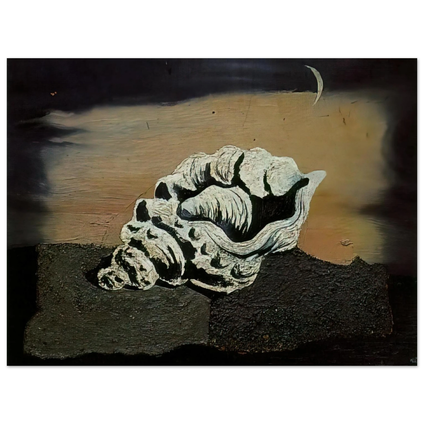 Salvador Dali - SHELL Fine Art Poster - Default Title
