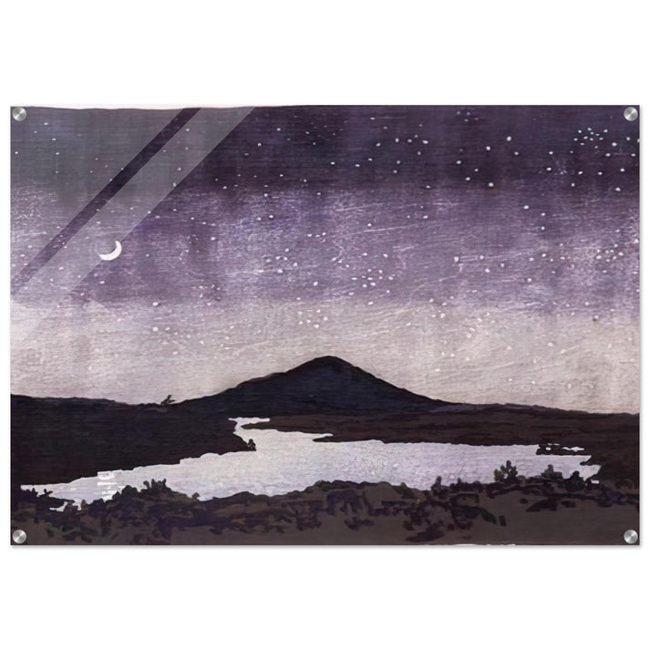 Night Scene - 1982 - Neil Welliver Acrylic Print - 70x100 cm / 28x40″ inches | Neil Welliver Wall Art | Neil Welliver Prints