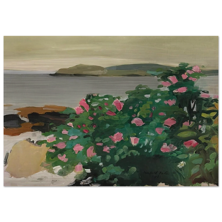 WILD ROSES 1961 - Fairfield Porter Brushed Aluminum Print - 70x100 cm / 28x40 inches | Fairfield Porter Aluminum Print | Fairfield Porter Prints