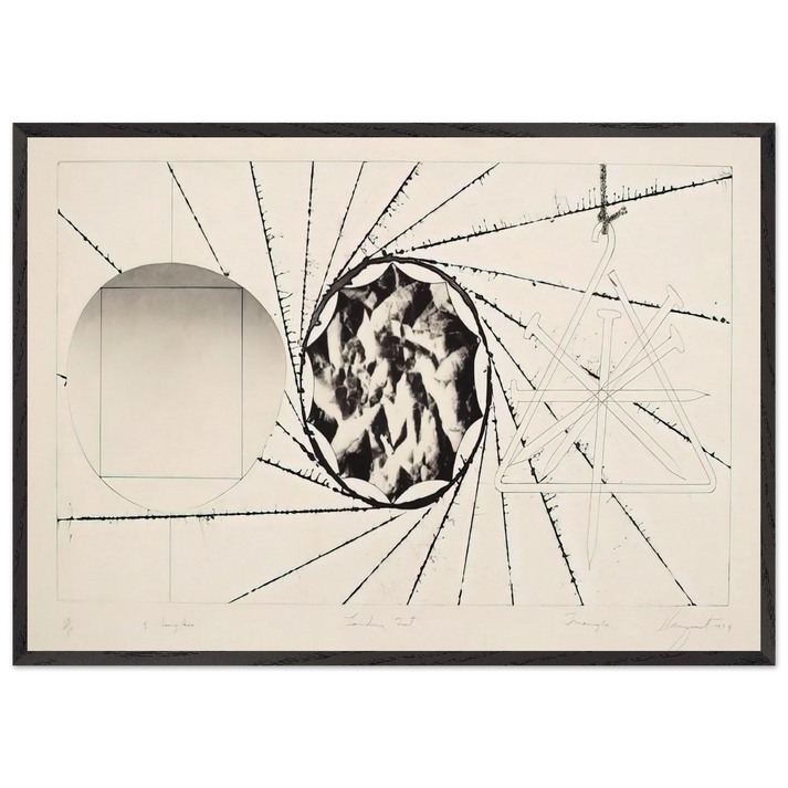 Sunglasses - Landing Net - Triangle - James Rosenquist 70x100 cm / 28x40 inches Framed Art Print – Black Wooden Frame