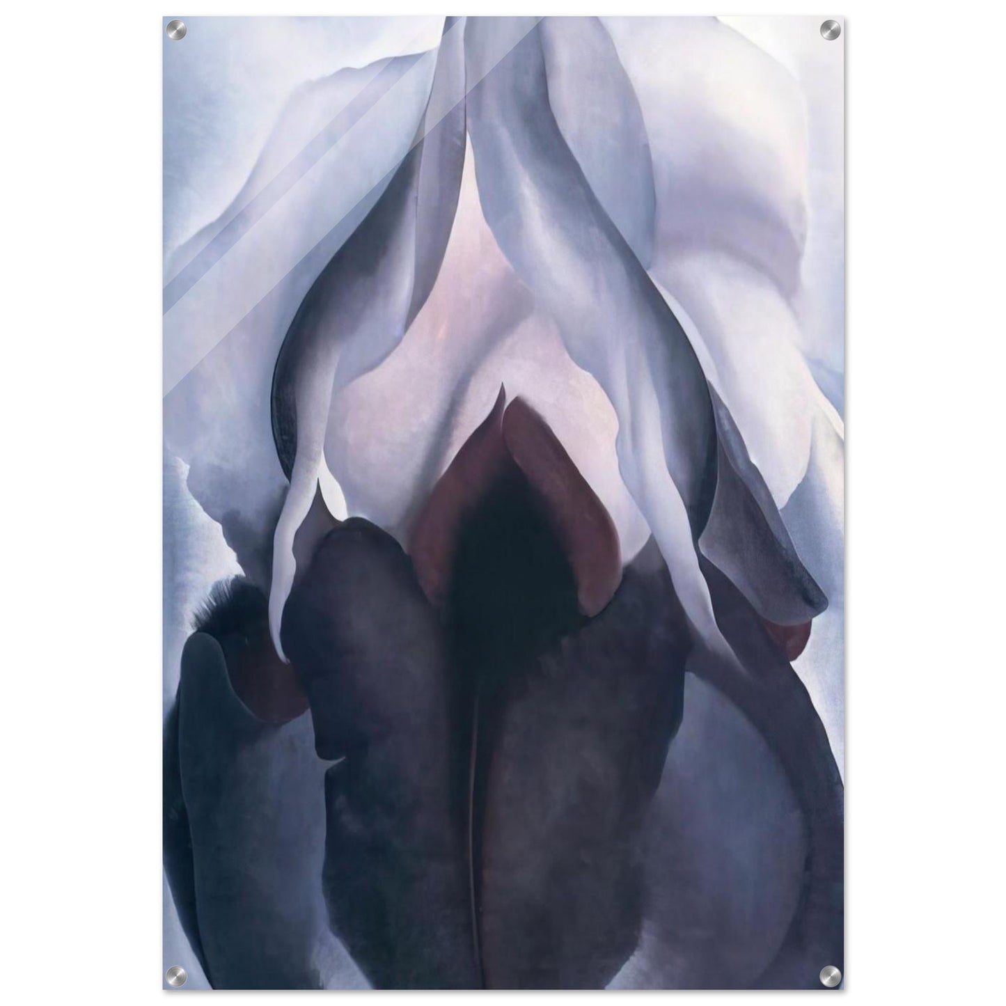 Black Iris III - Georgia O'Keeffe Acrylic Print - 70x100 cm / 28x40″ inches | Georgia O'Keeffe Wall Art | Georgia O'Keeffe Prints
