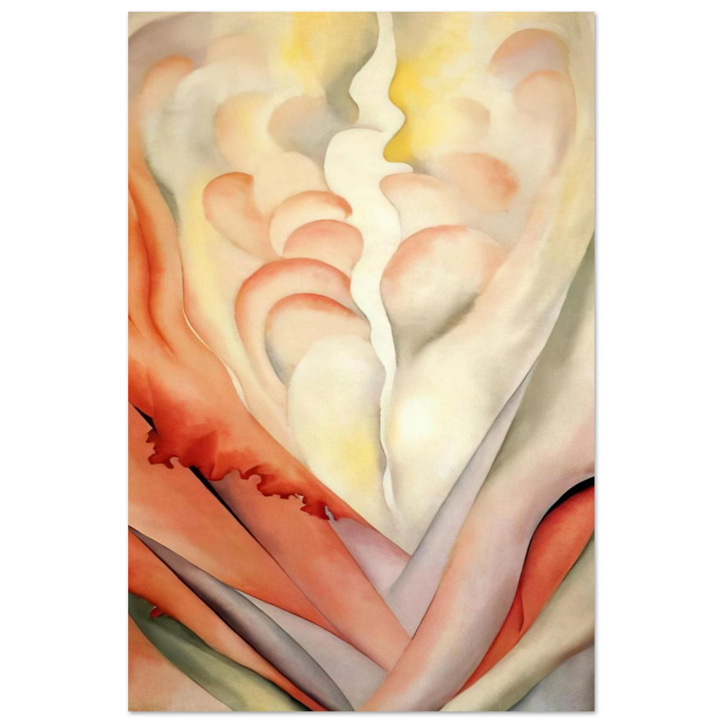 Georgia O'Keeffe - Flower Abstraction Fine Art Poster - 40x60 cm / 16x24 inches