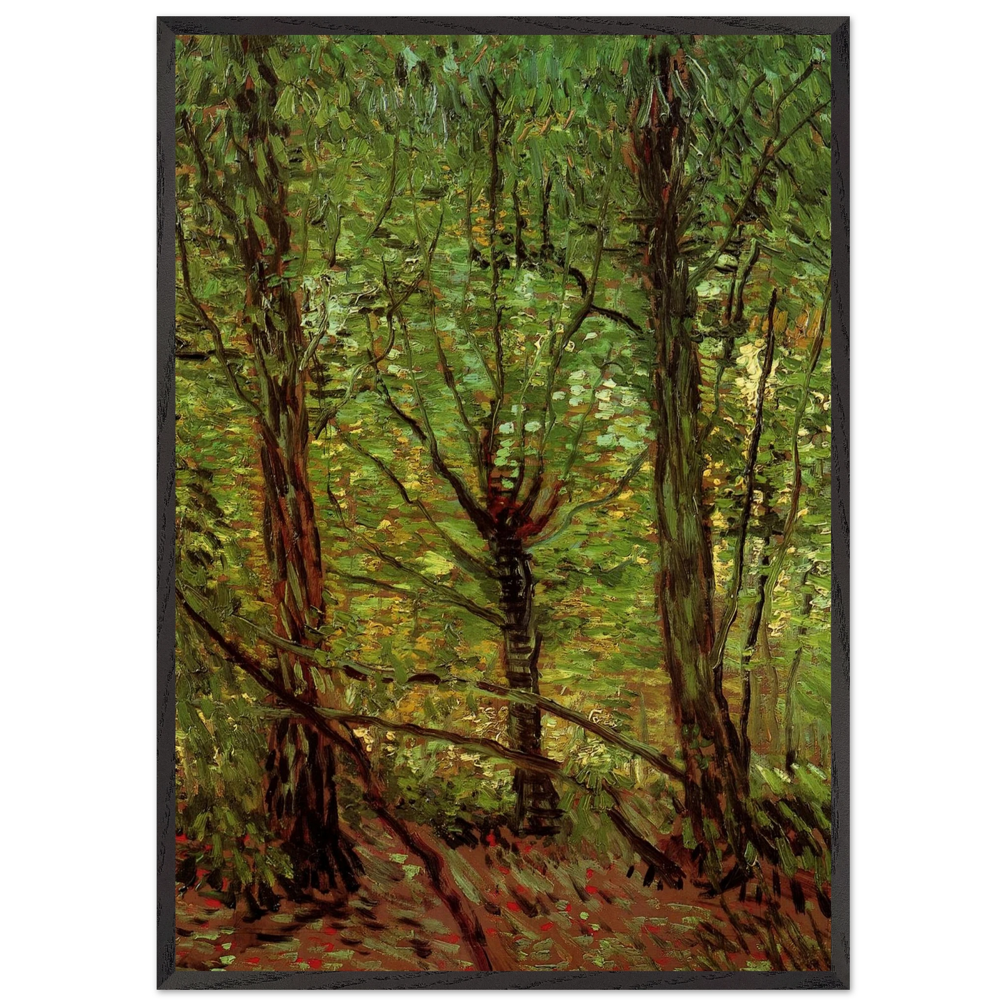 Trees and Undergrowth - Vincent van Gogh Framed Art Print – Black Wooden Frame - Default Title - -Framed Art Print