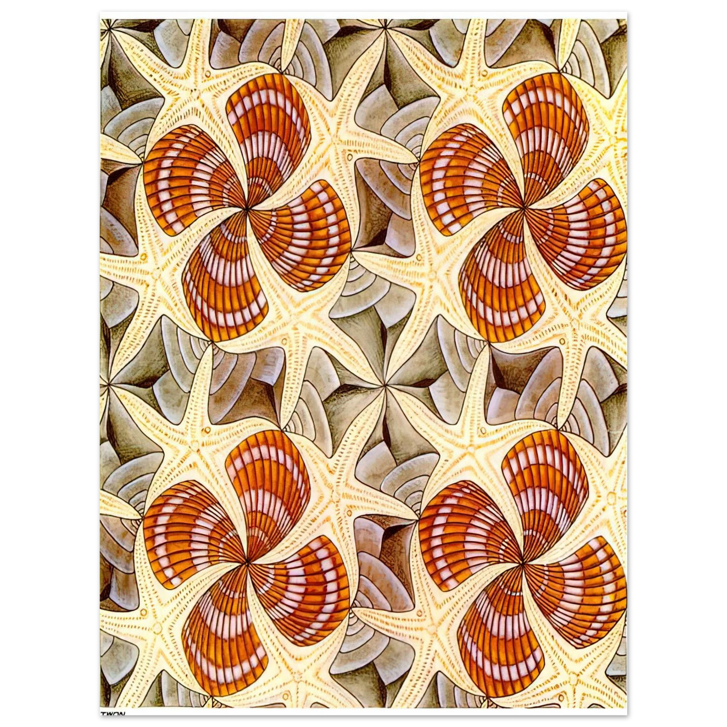 MC Escher - SHELLS AND STARFISH Wall Art - 60x80 cm / 24x32 inches - Premium Wooden Framed Poster With Fine Art Paper - Wood frame
