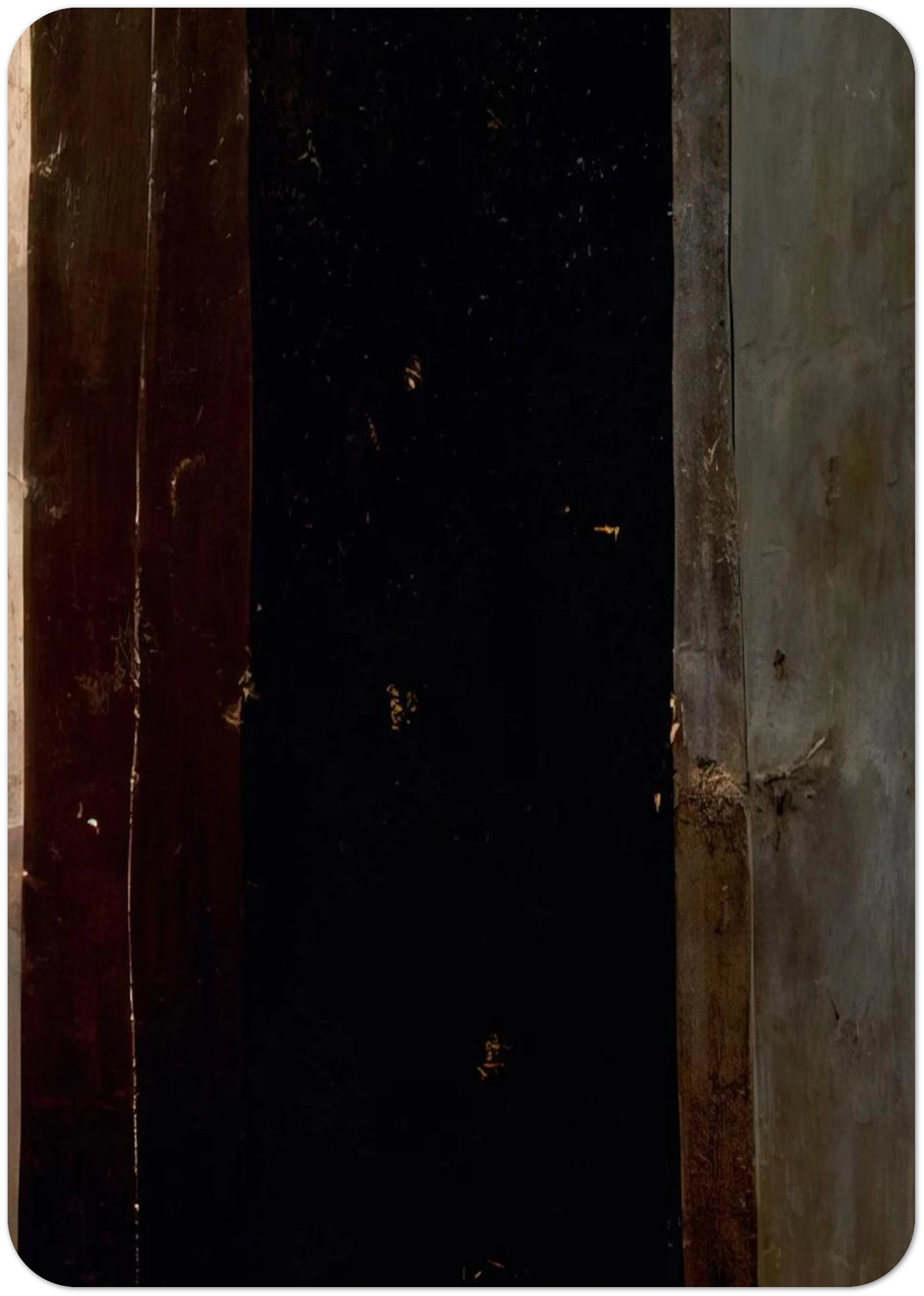 f05b5855-0b04-4d1f-ad6e-2e4d9f5b194d