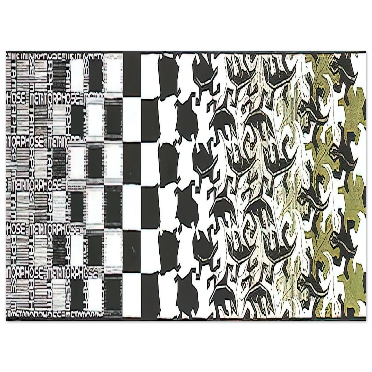 MC Escher - METAMORPHOSIS II EXCERPT 2 Wall Art - 30x40 cm / 12x16 inches - Fine Art Poster - -