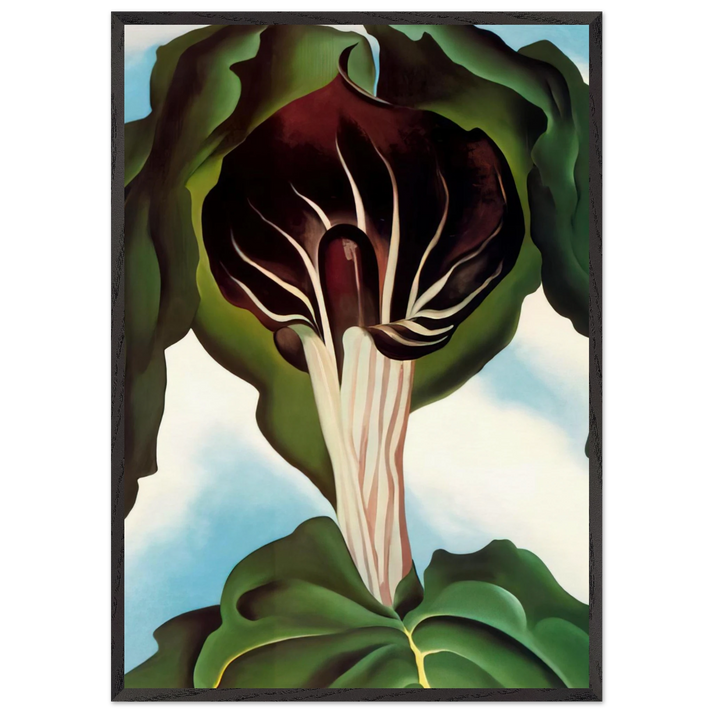 Jack-in-the-Pulpit III - Georgia OKeeffe 70x100 cm / 28x40 inches Framed Art Print – Black Wooden Frame
