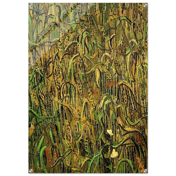 Ears of Wheat - Vincent van Gogh Acrylic Print - 70x100 cm / 28x40″ inches