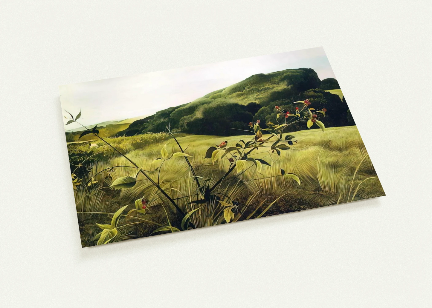 f4de8bd8-7b4e-4aa1-8cb5-4f9b79ad4c3d