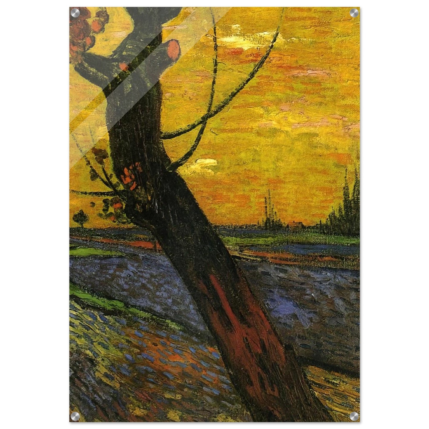 Sower with Setting Sun - Vincent van Gogh Acrylic Print - 70x100 cm / 28x40″ inches