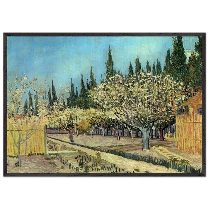 Orchard in Blossom Bordered by Cypresses - Vincent van Gogh 70x100 cm / 28x40 inches Framed Art Print – Black Wooden Frame