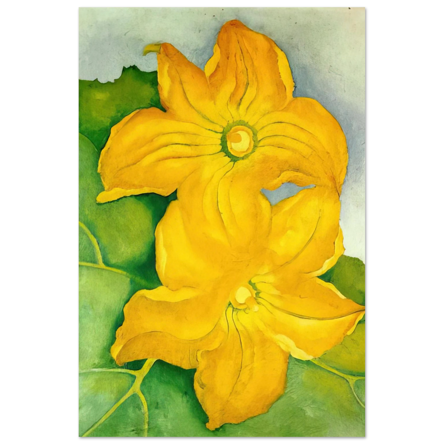 Georgia O'Keeffe - Squash Blossoms I Fine Art Poster - 75x100 cm / 30x40 inches