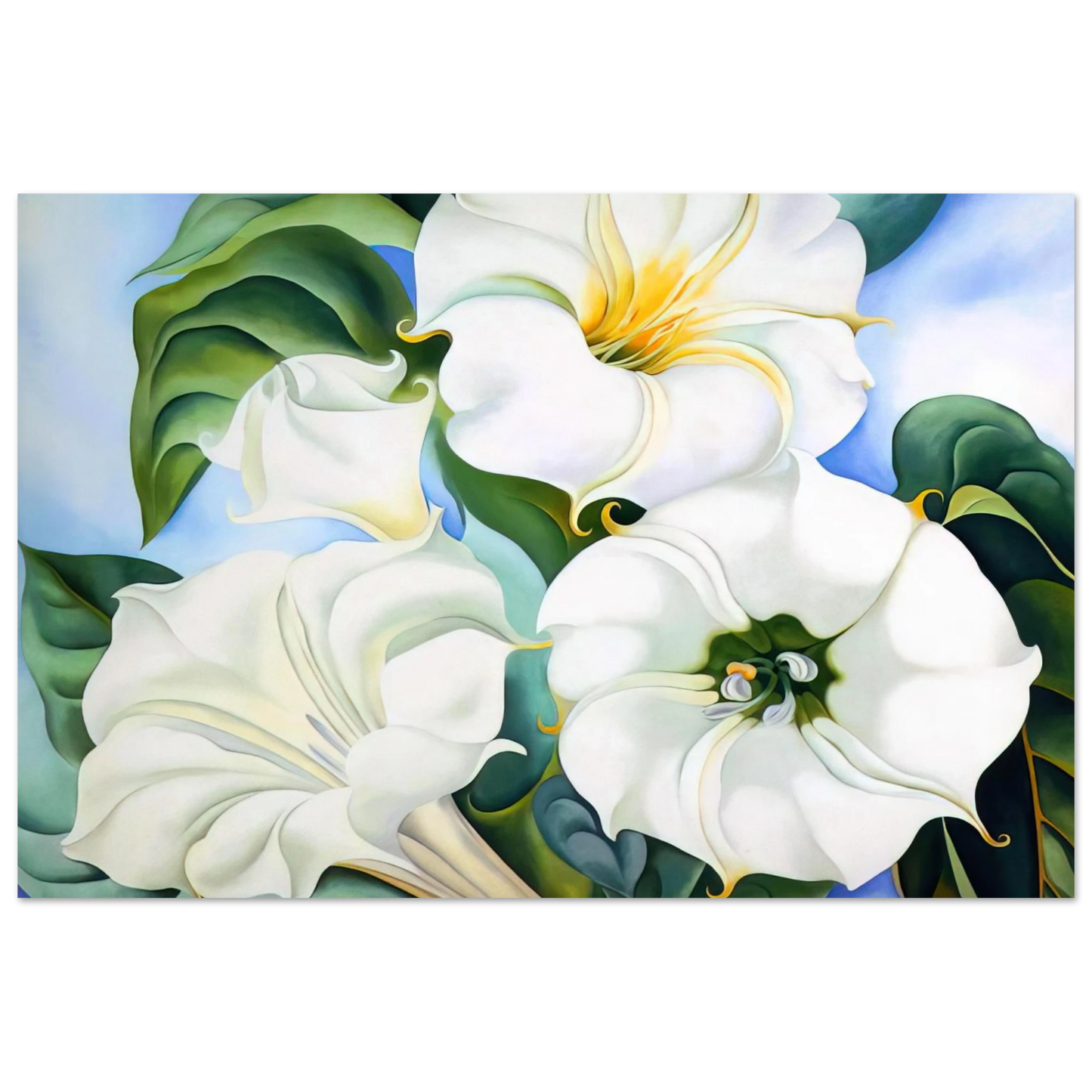 Georgia O'Keeffe - Jimson Weed 3 Fine Art Poster - 75x100 cm / 30x40 inches