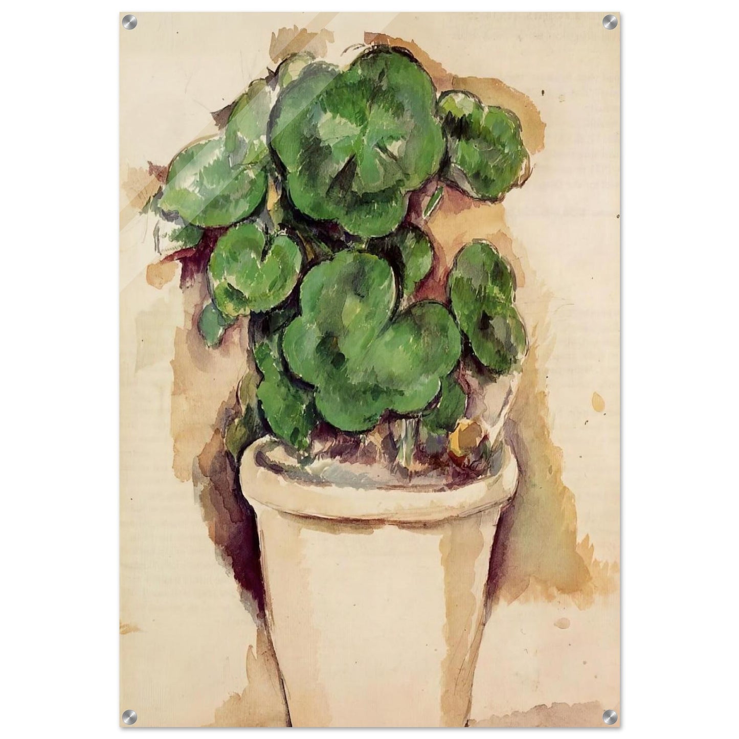 Pot of Geraniums - Paul Cézanne Acrylic Print - 70x100 cm / 28x40″ inches