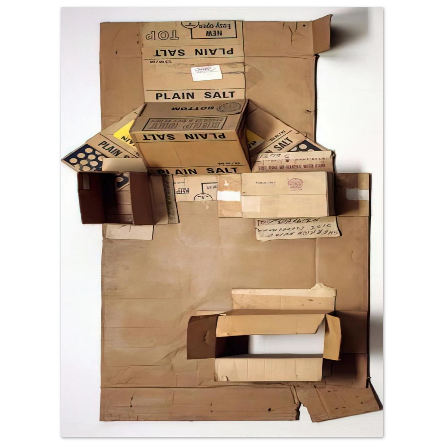 Robert Rauschenberg - PLAIN SALT CARDBOARD 1971 Fine Art Poster - Default Title