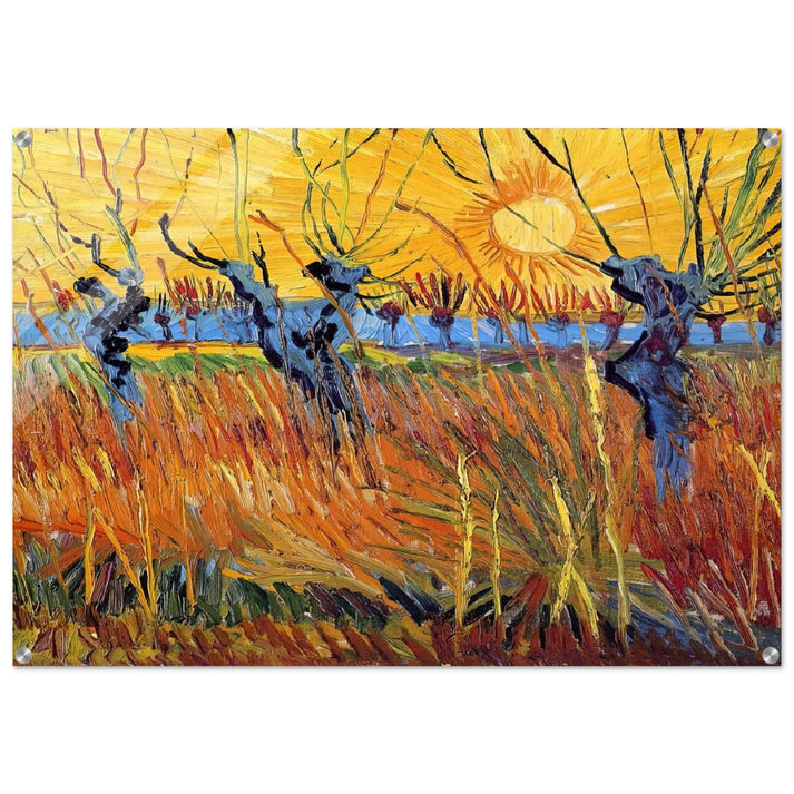Pollard Willows and Setting Sun - Vincent van Gogh Acrylic Print - 70x100 cm / 28x40″ inches | Vincent van Gogh Wall Art | Vincent van Gogh Prints