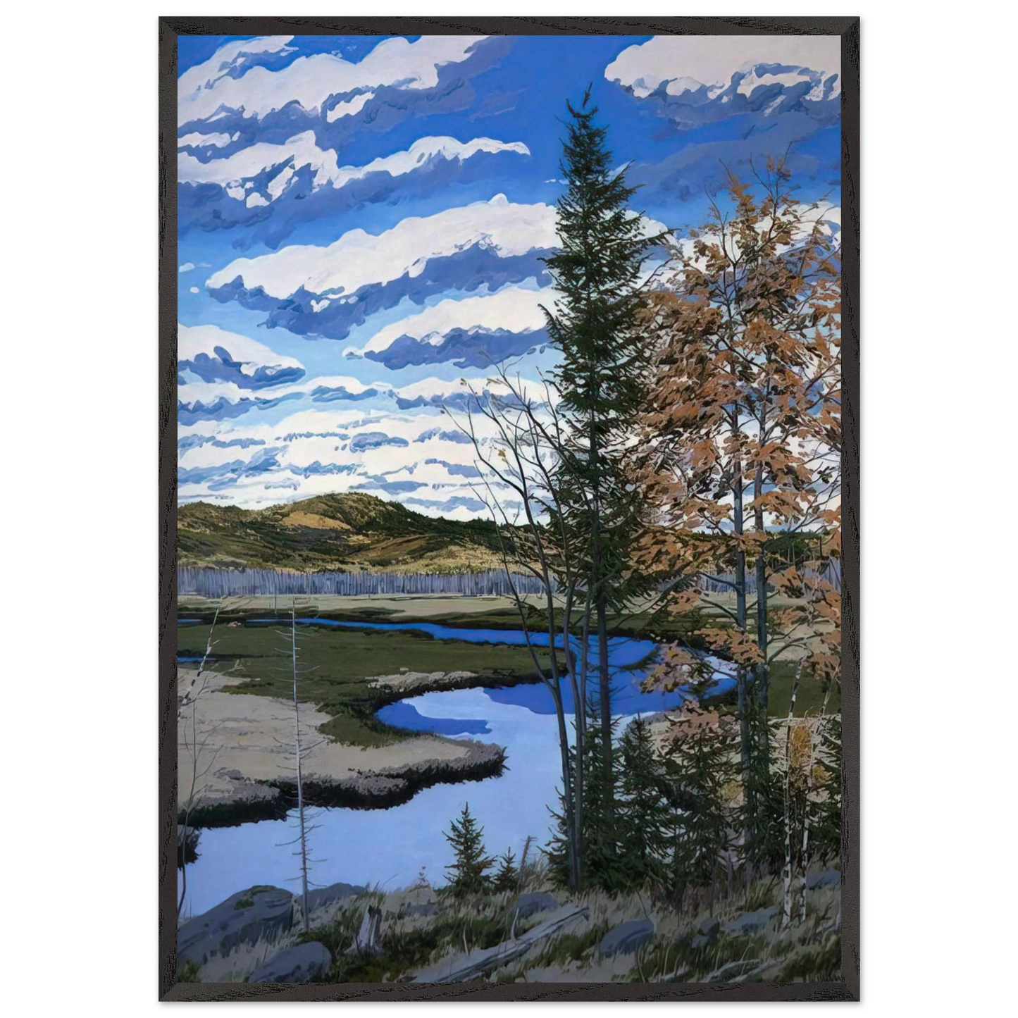 Shadow on Briggs Meadow - 1981 - Neil Welliver 70x100 cm / 28x40 inches Framed Art Print – Black Wooden Frame