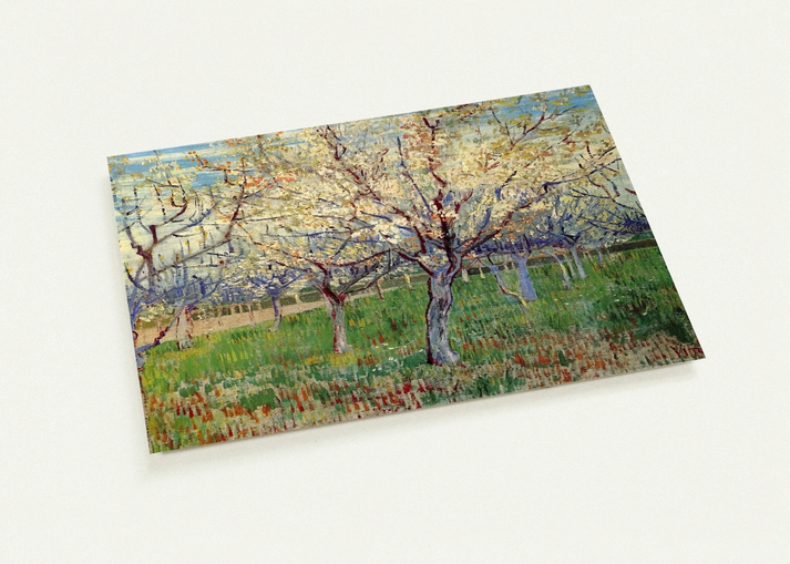 Orchard with Blossoming Apricot Trees By Vincent van Gogh Pack of 10 Post Cards | Vincent van Gogh Post Cards | A6 (10.5 x 14.8 cm) - 4.1 x 5.8 inches