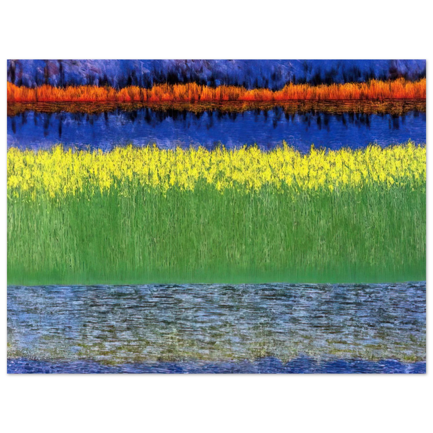 Jimmy Ernst - Sea of Grass - 1982 Fine Art Poster - Default Title