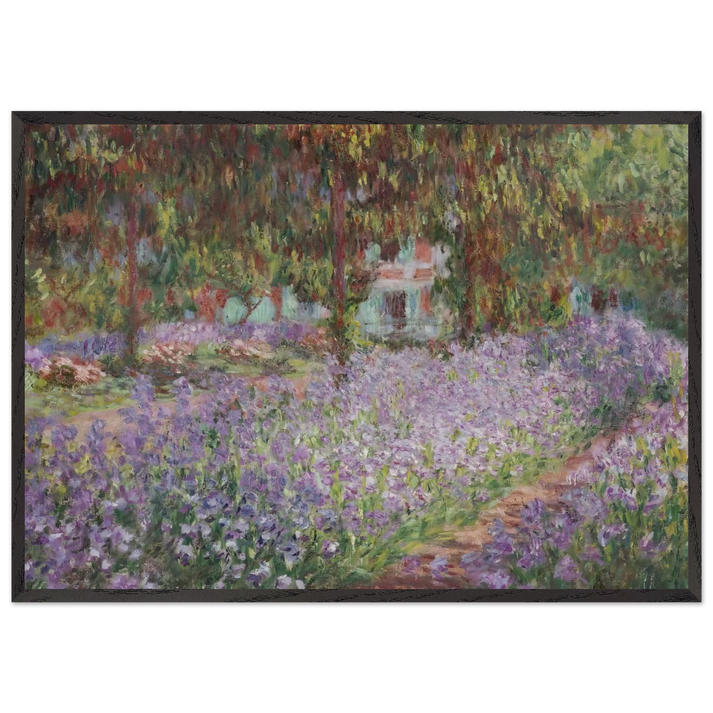 Irises in Monets Garden - claude monet 70x100 cm / 28x40 inches Framed Art Print – Black Wooden Frame