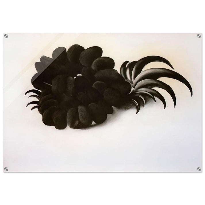 Eagle Claw and Bean Necklace - Georgia O'Keeffe Acrylic Print - 70x100 cm / 28x40″ inches