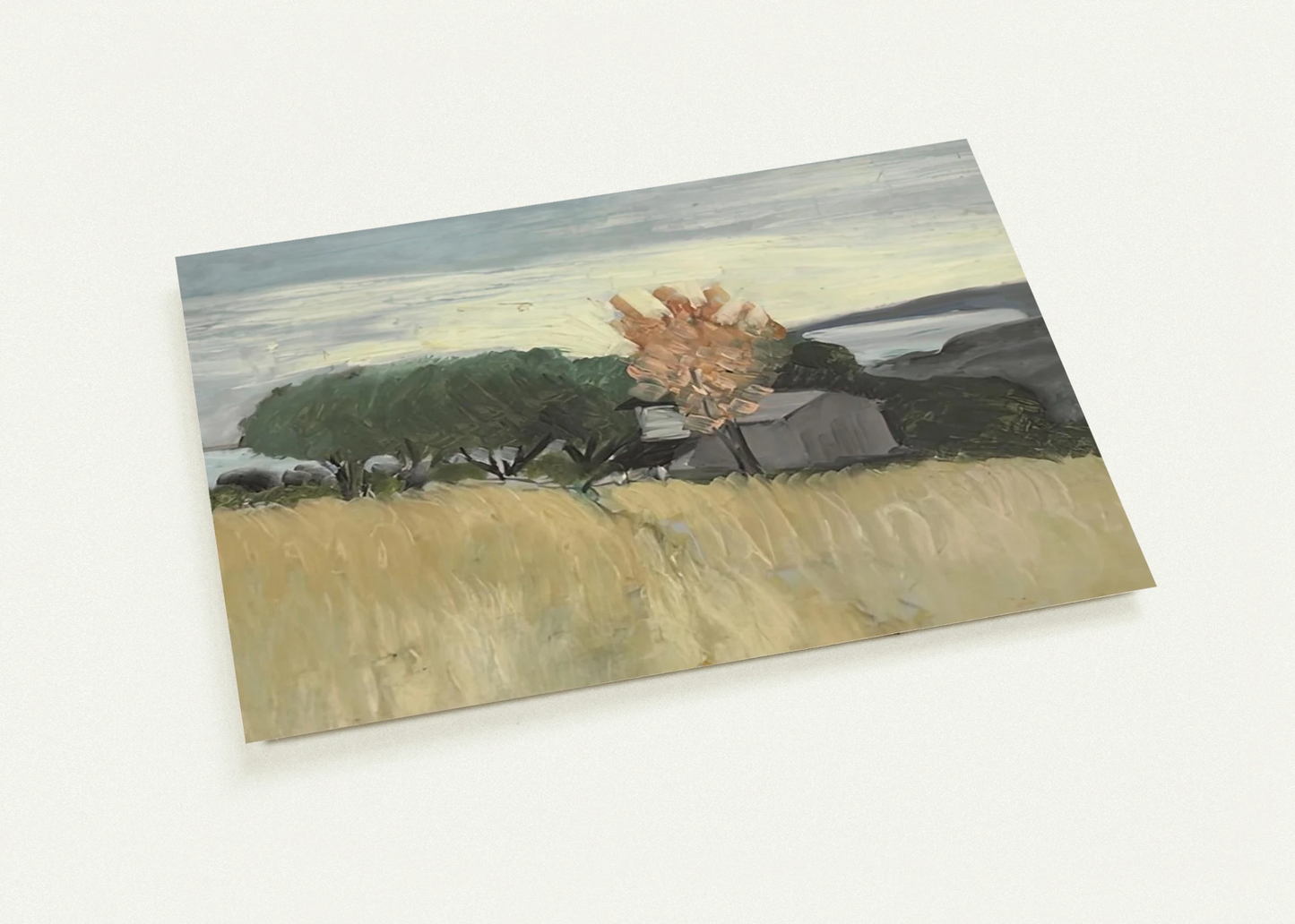 CHAMPS DE BLE A CAGNES 1918 By Henri Matisse Pack of 10 Post Cards | Henri Matisse Post Cards | A6 (10.5 x 14.8 cm) - 4.1 x 5.8 inches