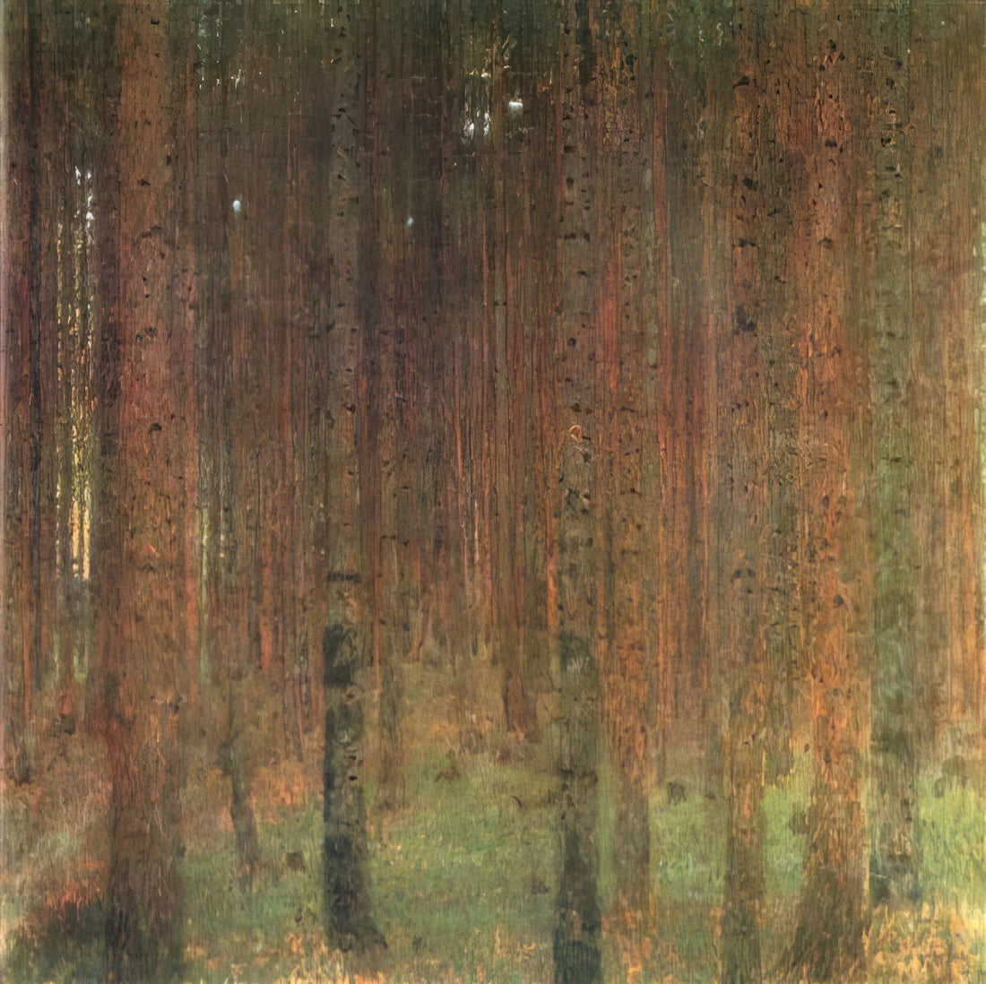 Adele Bloch-Bauer Poster: The Golden Portrait's Journey from Klimt to Your Wall - PINE FOREST II by Gustav Klimt