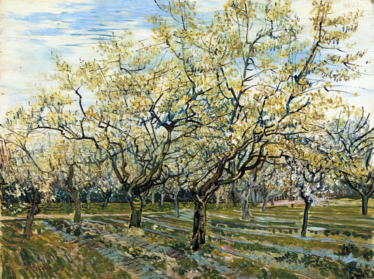 All Posters Van Gogh: A Curated Guide to the Artist's Most Iconic Prints - Orchard with Blossoming Plum Trees by Vincent van Gogh