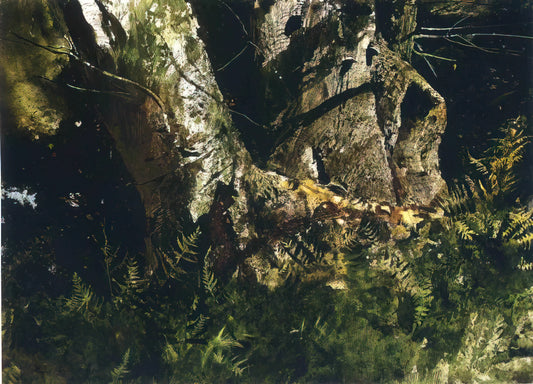 Andrew Wyeth Art for Sale: A Collector's Guide to Acquiring His Iconic Works - VIRGIN BIRCH 1982 by Andrew Wyeth