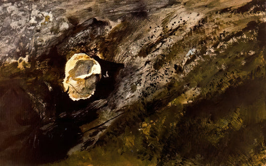 Andrew Wyeth Reproductions: A Collector's Guide to Museum-Quality Prints - INLAND SHELL by Andrew Wyeth