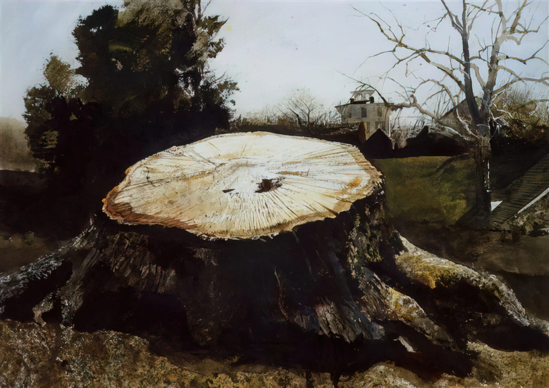Andrew Wyeth and Paul Allen: The Unlikely Alliance That Transformed American Art Collecting - THE BIG OAK by Andrew Wyeth