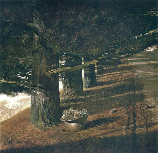 Andrew Wyeth's Christina: The Haunting Masterpiece That Defined American Realism - PINE BARON by Andrew Wyeth