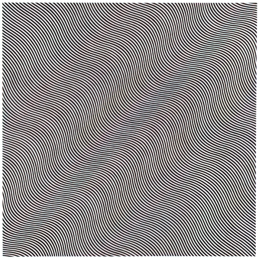 Bridget Riley Serpentine: Exploring the Op Art Pioneer's Dynamic Vision - UNTITLED DIAGONAL CURVE 1966 by Bridget Riley