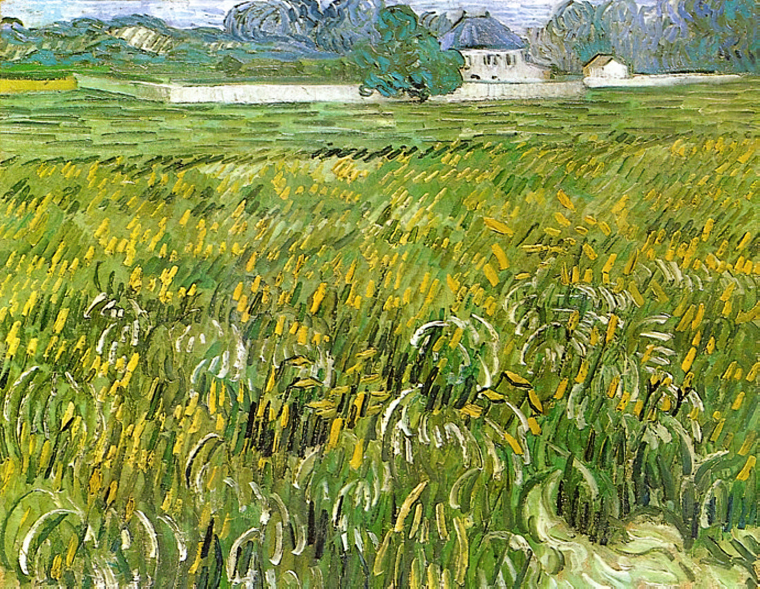 Café Terrace at Night Price: A Collector's Guide to Van Gogh's Masterpiece - Wheat Field at Auvers with White House by Vincent van Gogh