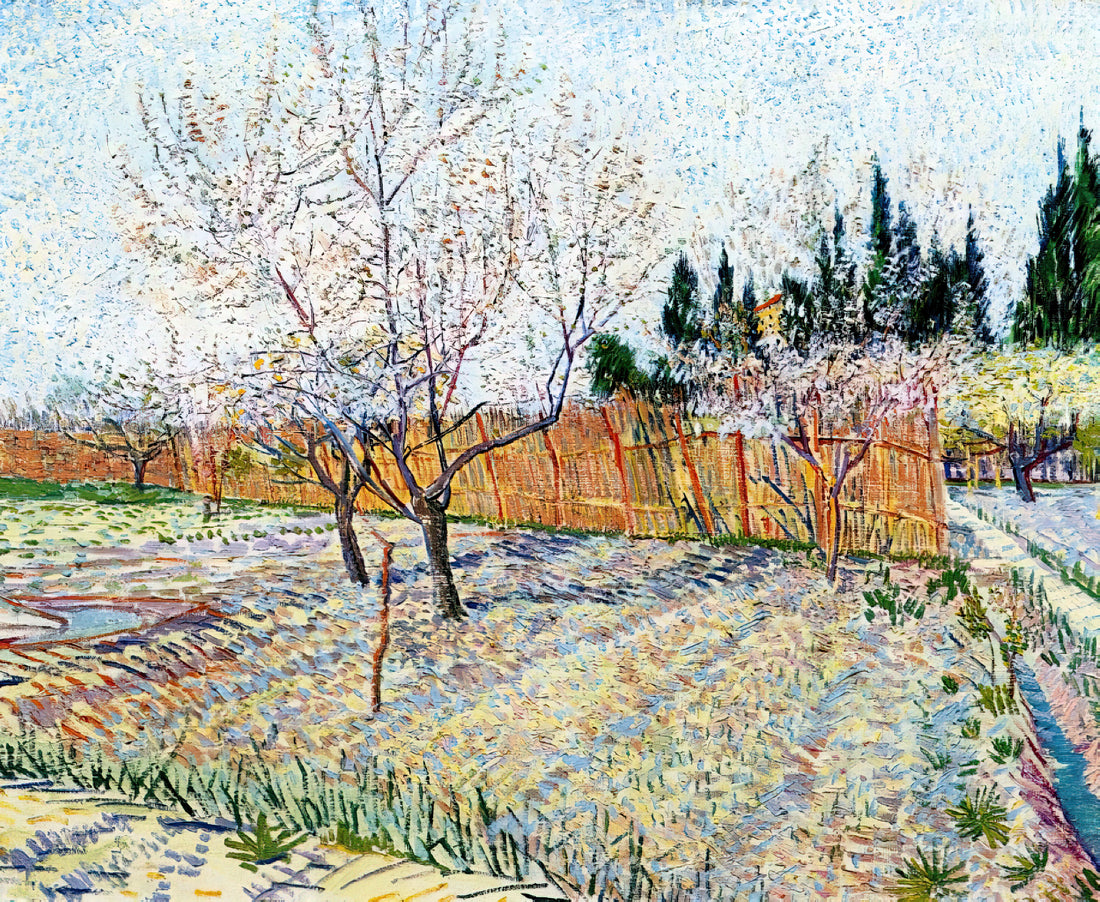 Café Terrace at Night Print: A Guide to Van Gogh's Iconic Arles Masterpiece - Orchard with Peach Trees in Blossom by Vincent van Gogh