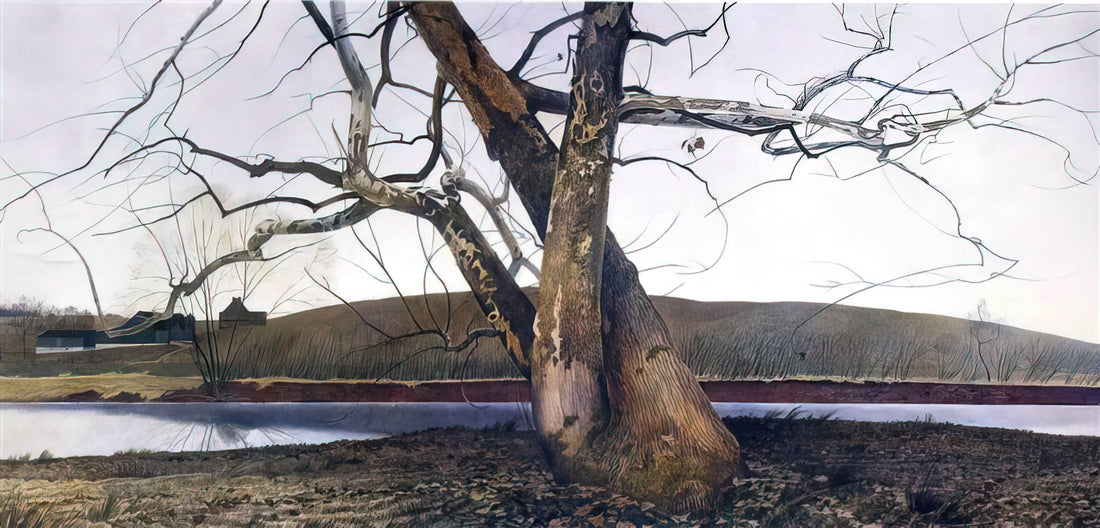 Christina Olson Wyeth: The Enduring Muse of American Realism - DIL HUEY FARM by Andrew Wyeth