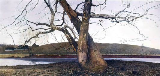 Christina Olson Wyeth: The Enduring Muse of American Realism - DIL HUEY FARM by Andrew Wyeth