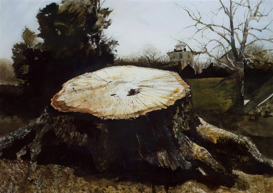Christina's World by Andrew Wyeth: The Definitive Guide to the Iconic American Print - THE BIG OAK by Andrew Wyeth