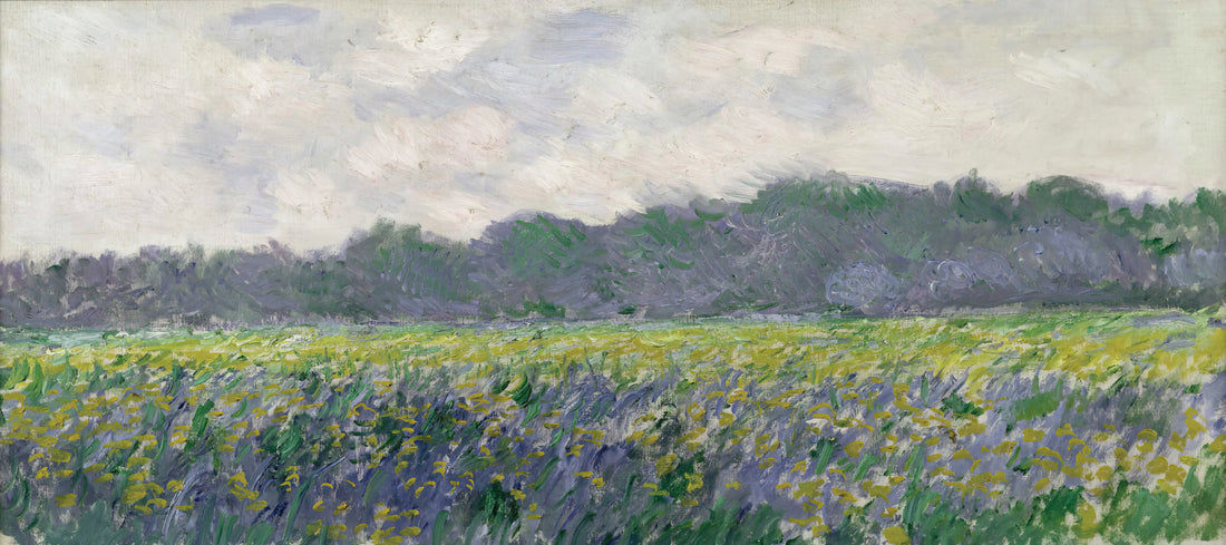 Claude Monet Prints: A Curator's Guide to Collecting the Impressionist Master's Work - Field of Yellow Irises at Giverny by claude monet