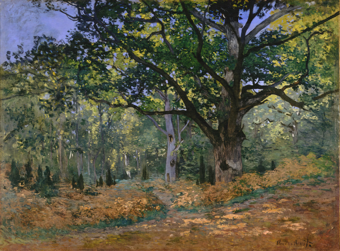 Claude Monet's Le Parc Monceau: A Study of Light, Atmosphere, and Urban Serenity - The Bodmer Oak, Fontainebleau by claude monet