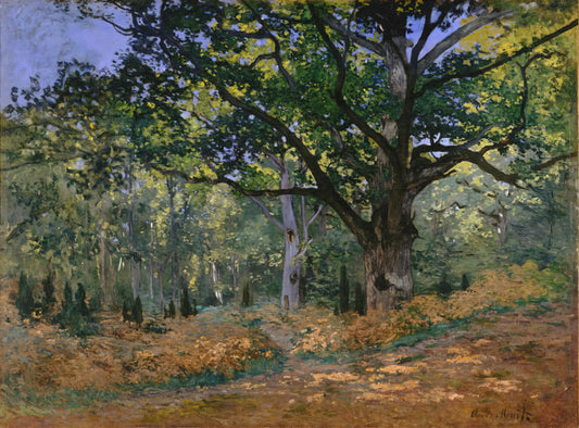Claude Monet's Le Parc Monceau: A Study of Light, Atmosphere, and Urban Serenity - The Bodmer Oak, Fontainebleau by claude monet