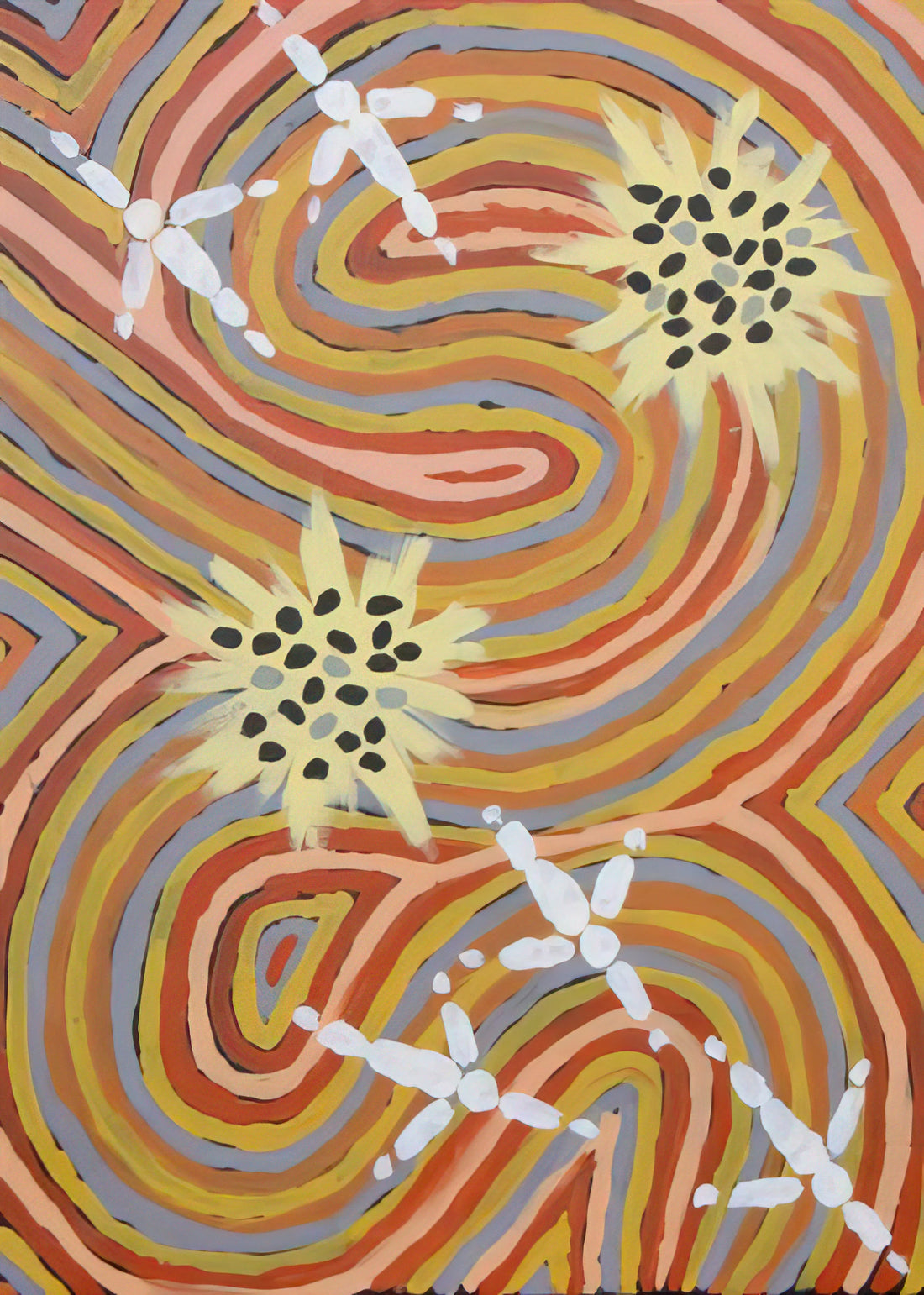 Clifford Possum Tjapaltjarri Framed Canvas Print: A Collector's Guide to Indigenous Australian Art - Kangaroo Dreaming at Mt. Singleton - Native Art by Clifford Possum Tjapaltjarri