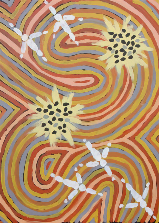 Clifford Possum Tjapaltjarri Framed Canvas Print: A Collector's Guide to Indigenous Australian Art - Kangaroo Dreaming at Mt. Singleton - Native Art by Clifford Possum Tjapaltjarri