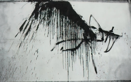 Dali Horse Lithograph: A Surrealist Masterpiece in Print - NIGHT IN THE HOTEL ABSTRACT IN BLACK AND WHITE by Salvador Dali
