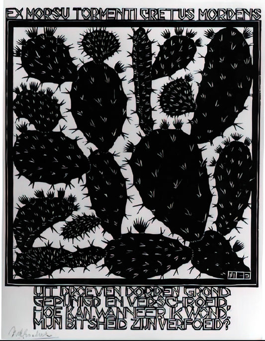 Escher Drawings: The Mathematical Mind Behind Impossible Worlds - EMBLEMATA CACTUS by MC Escher