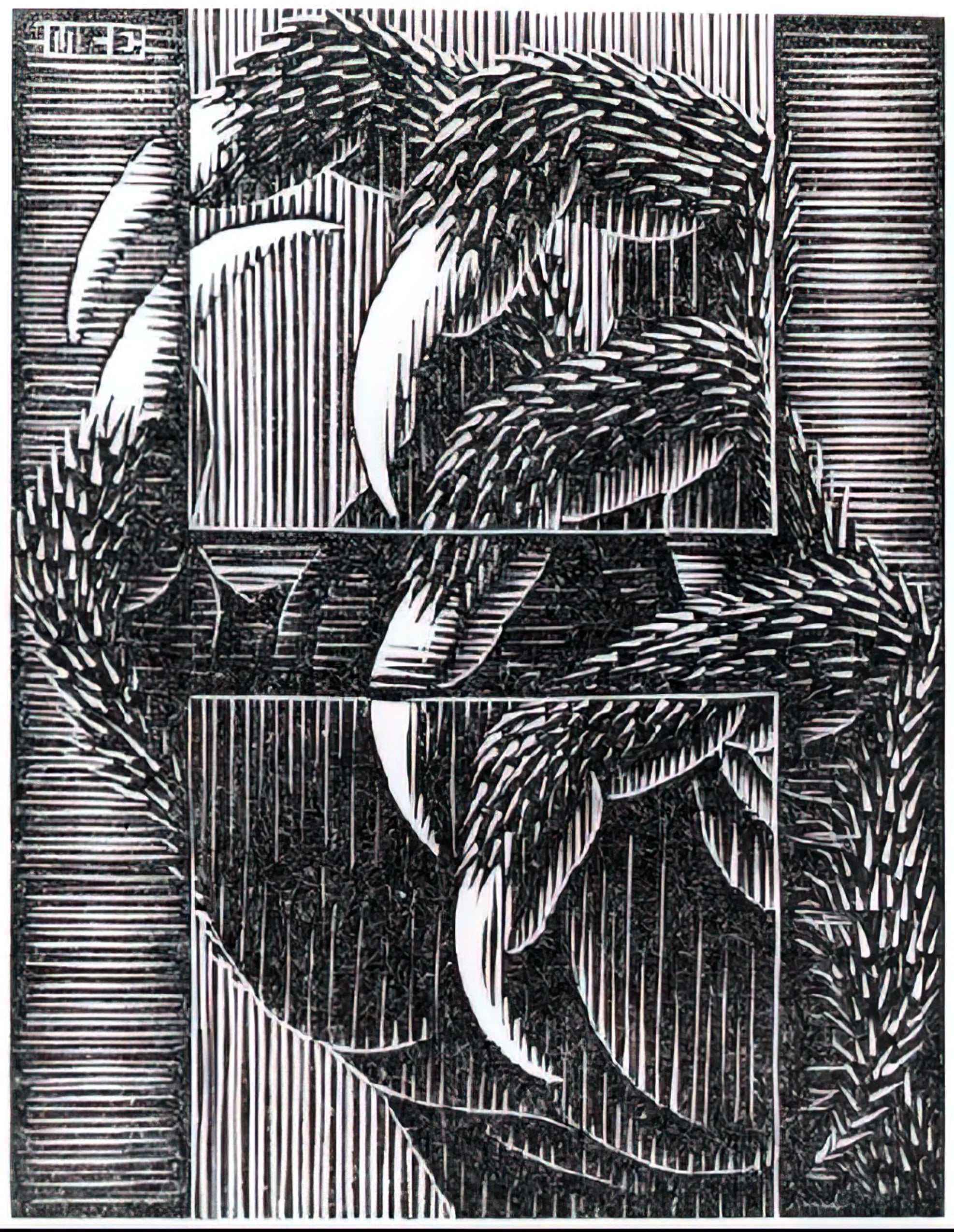 Escher Original Art: Understanding the Rarity, Value, and Legacy of Ma ...