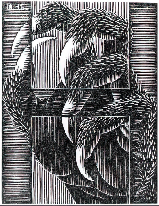 Escher Original Art: Understanding the Rarity, Value, and Legacy of Maurits Cornelis Escher's Work - ESCHER (13) by MC Escher