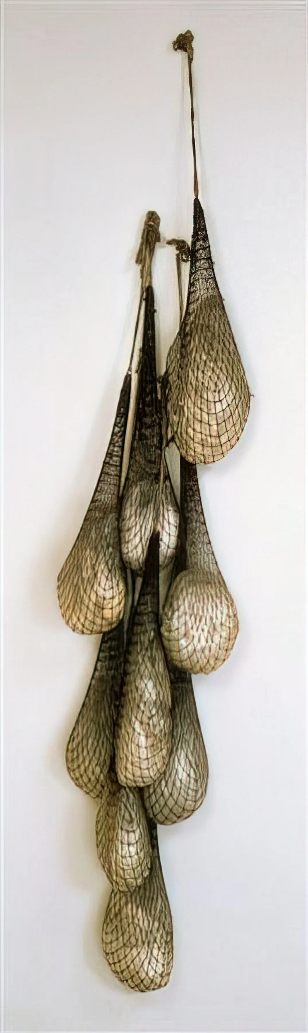 Eva Hesse Reproduction: The Art of Preserving Postminimalist Legacy Through Museum-Quality Prints - UNTITLED OR NOT YET 1966 by Eva Hesse