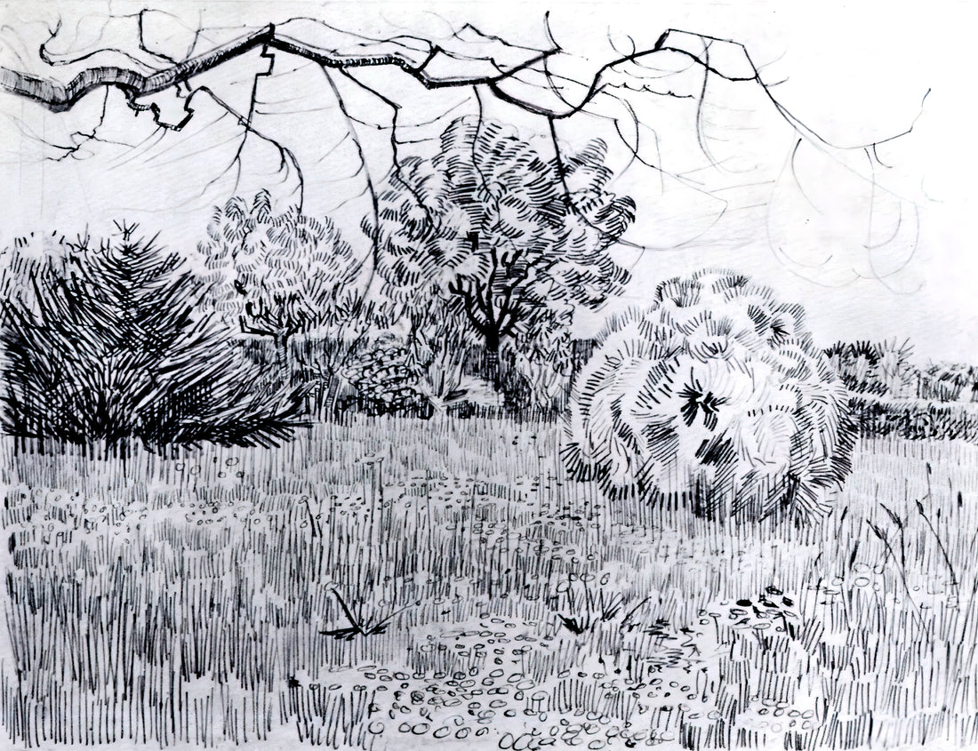Famous Sunflower Art: A Curator's Guide to Van Gogh's Iconic Masterpieces - Park at Arles by Vincent van Gogh