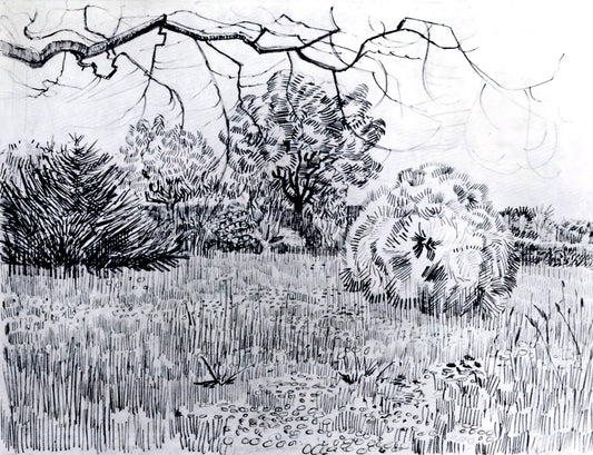 Famous Sunflower Art: A Curator's Guide to Van Gogh's Iconic Masterpieces - Park at Arles by Vincent van Gogh